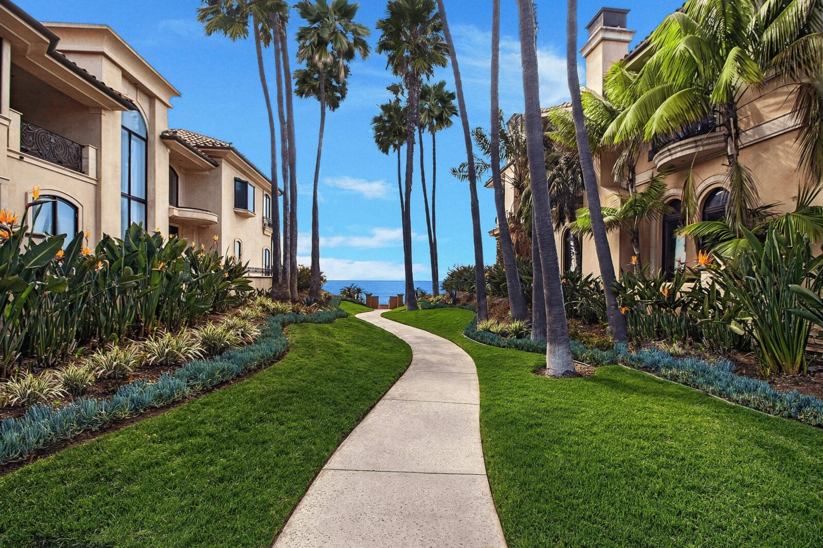 Ritz Cove