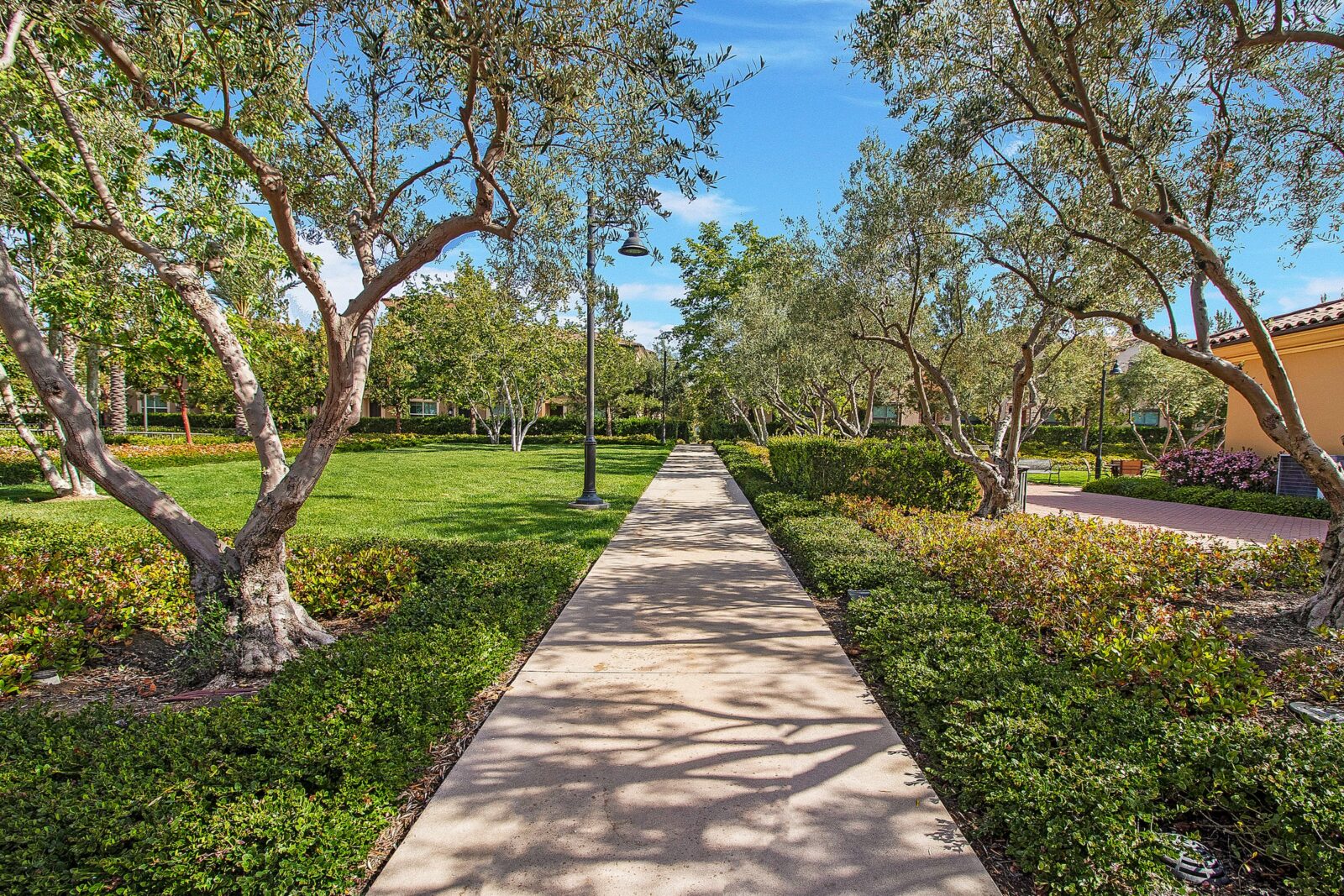 Orchard Terrace Park