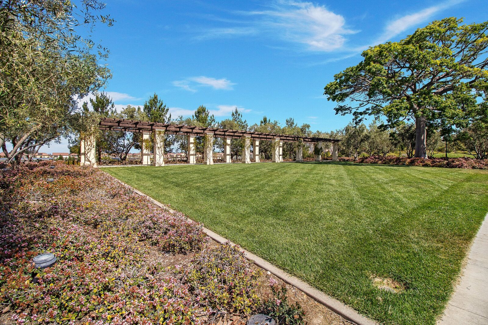 Orchard Terrace Park